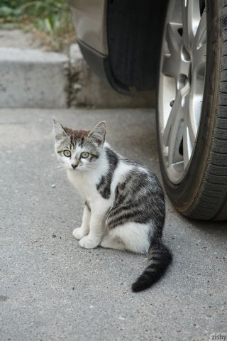 Девка поливает растения в саду в желтой маечке и розовых трусиках